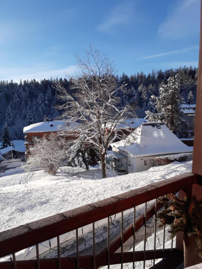 Kozel 1 Lägenhet Janske Lazne Exteriör bild